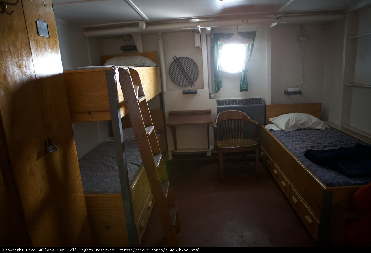 Bunk Bed Dreams