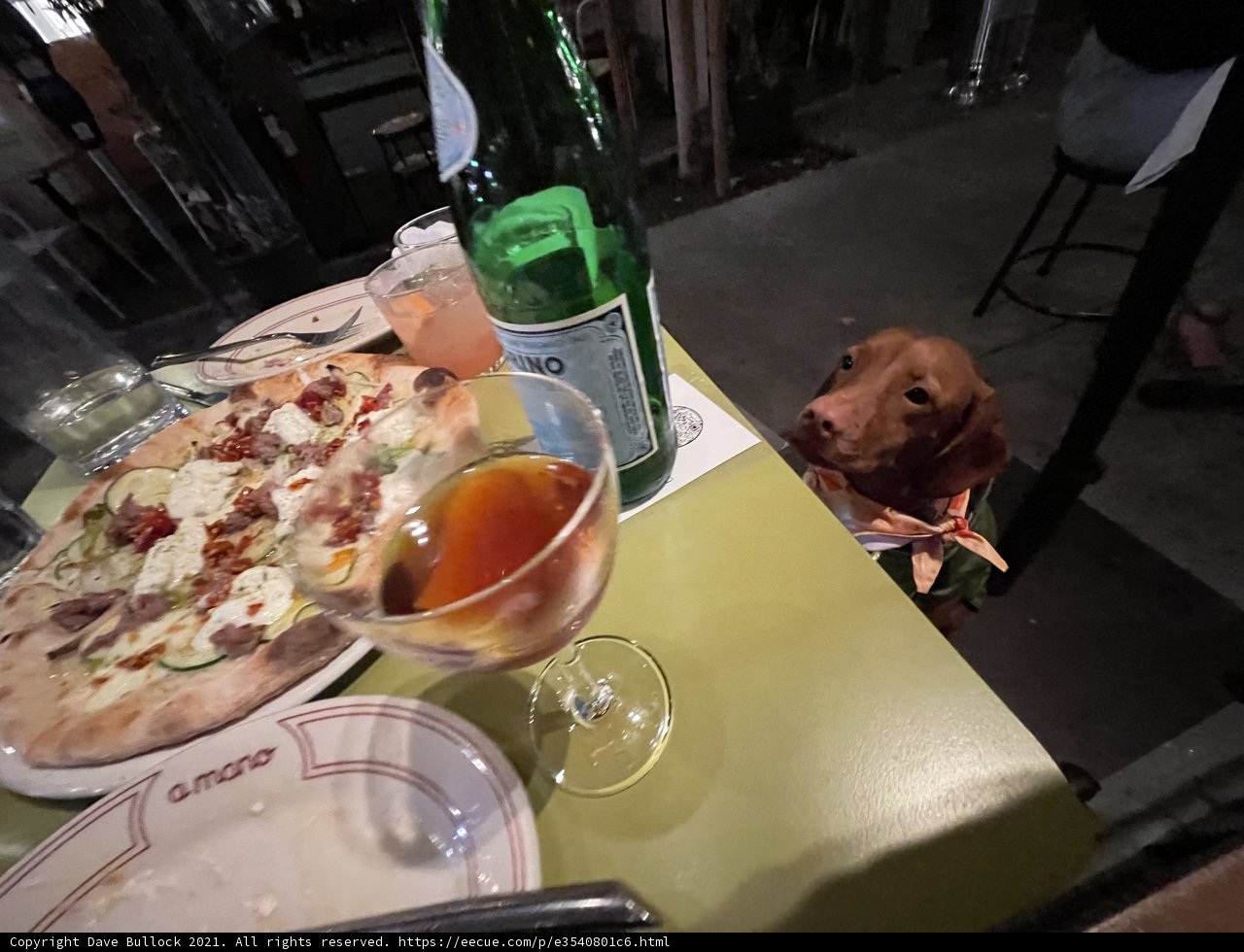 Pawesome Pizza Night