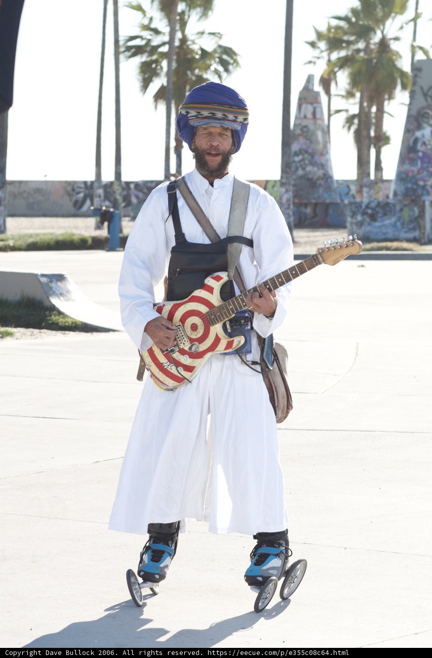 Guitar Serenade under the Palm Tree