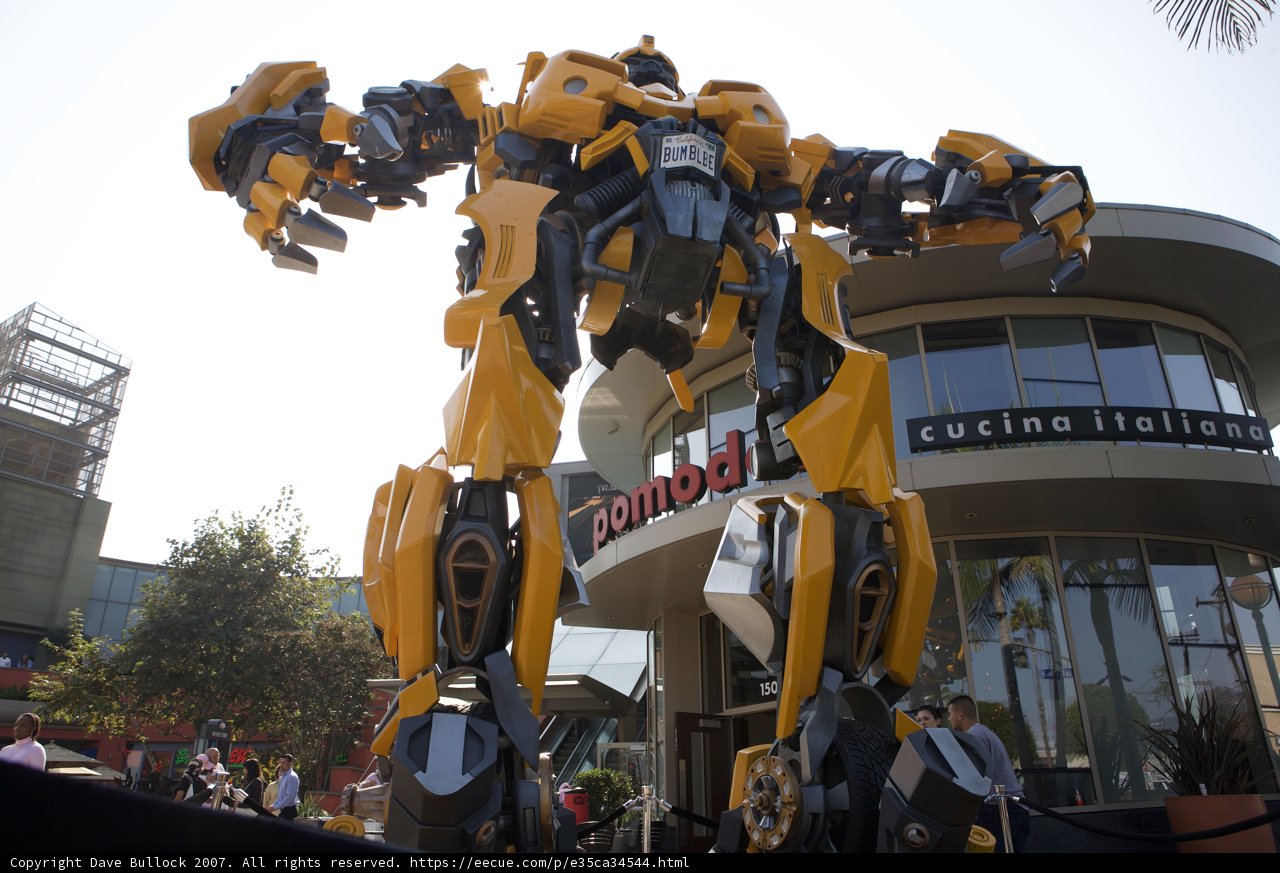 The Bumblebee Robot