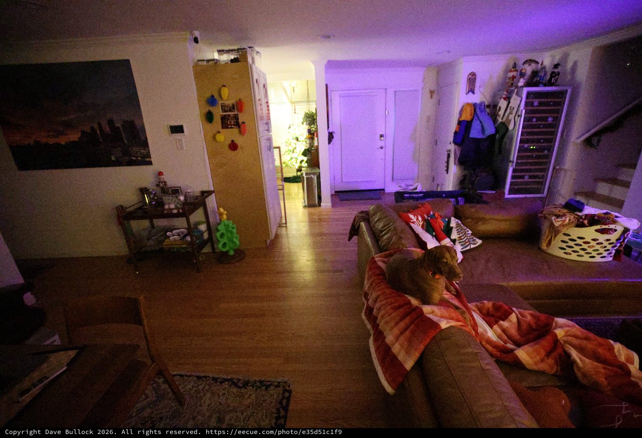 Cozy Living Room with Purple Ambient Lighting at Night
