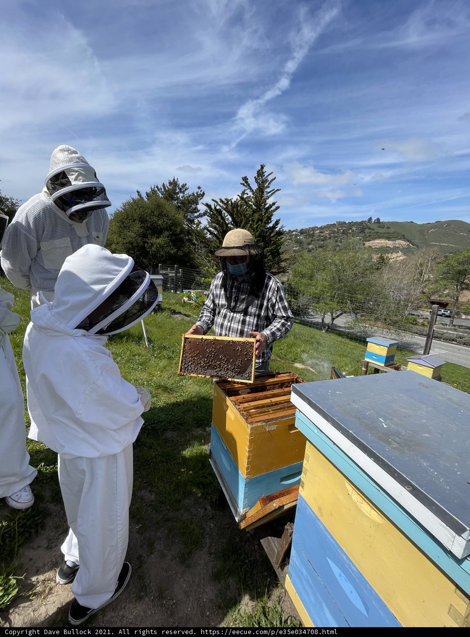 Beekeepers in Action