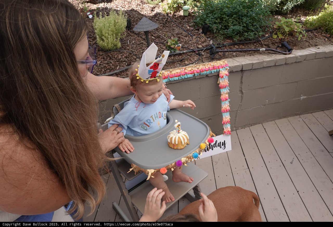 First Birthday Delight