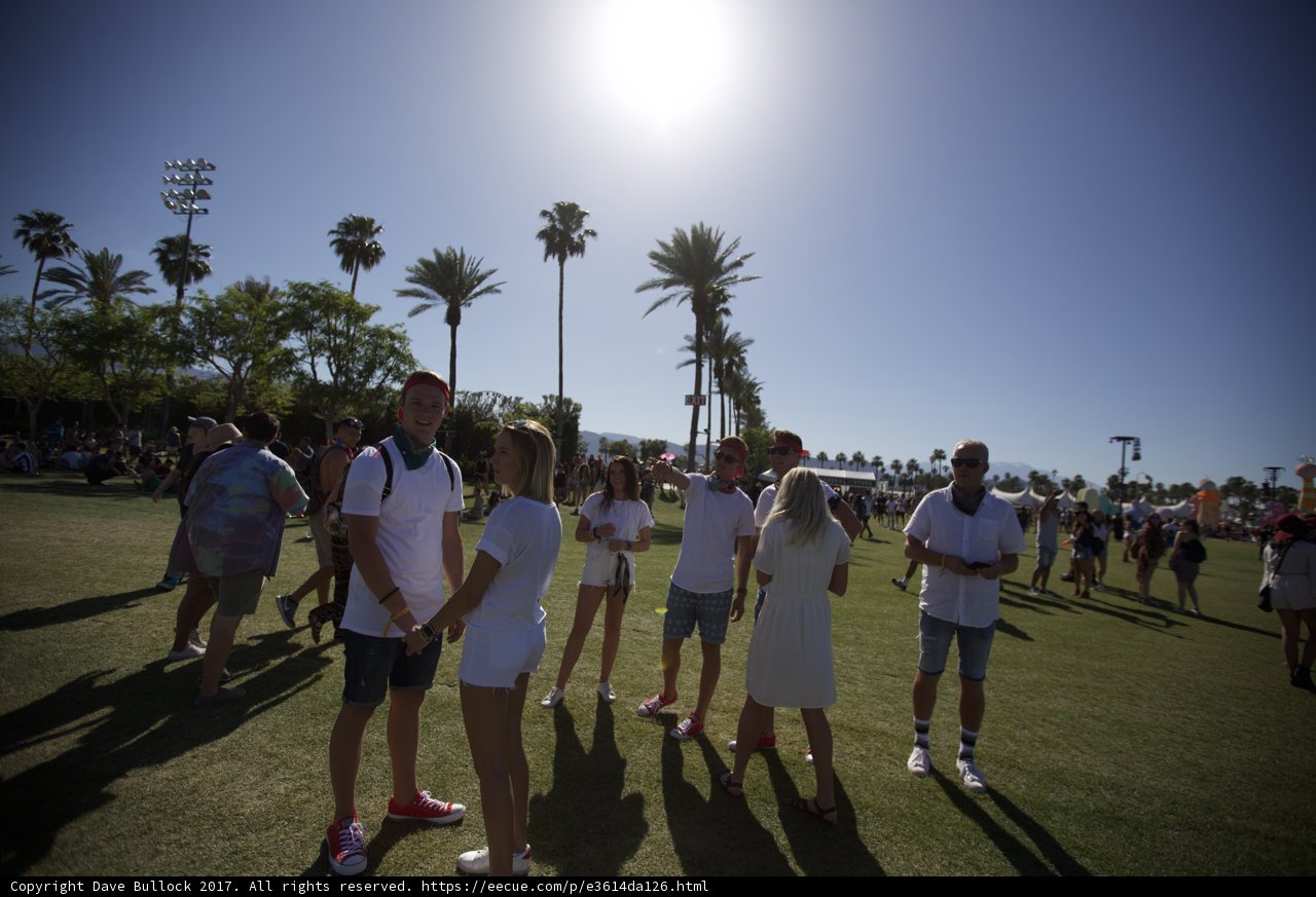Summer Crowd on the Green