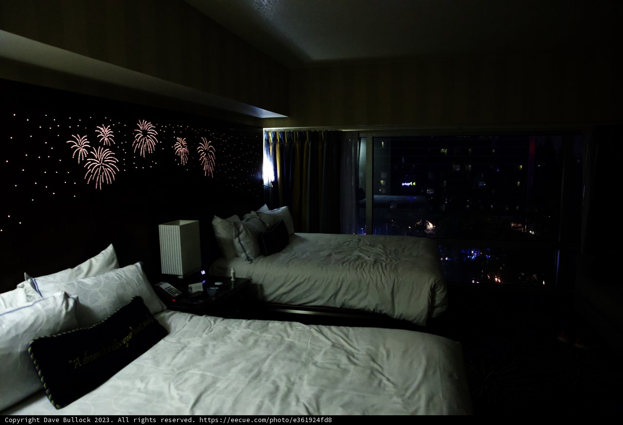 Magical Accommodations at the Happiest Place on Earth