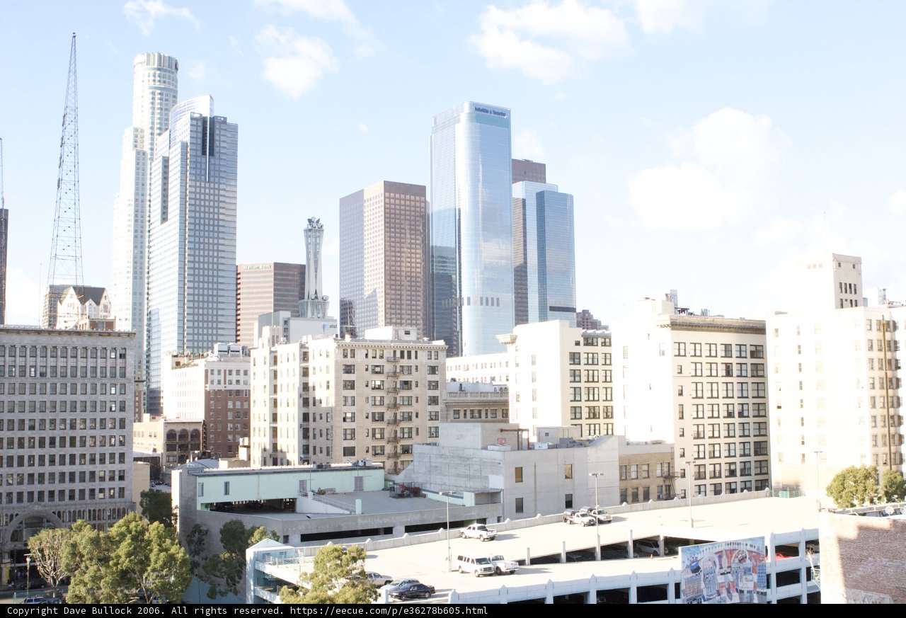 Overlooking the Urban Jungle