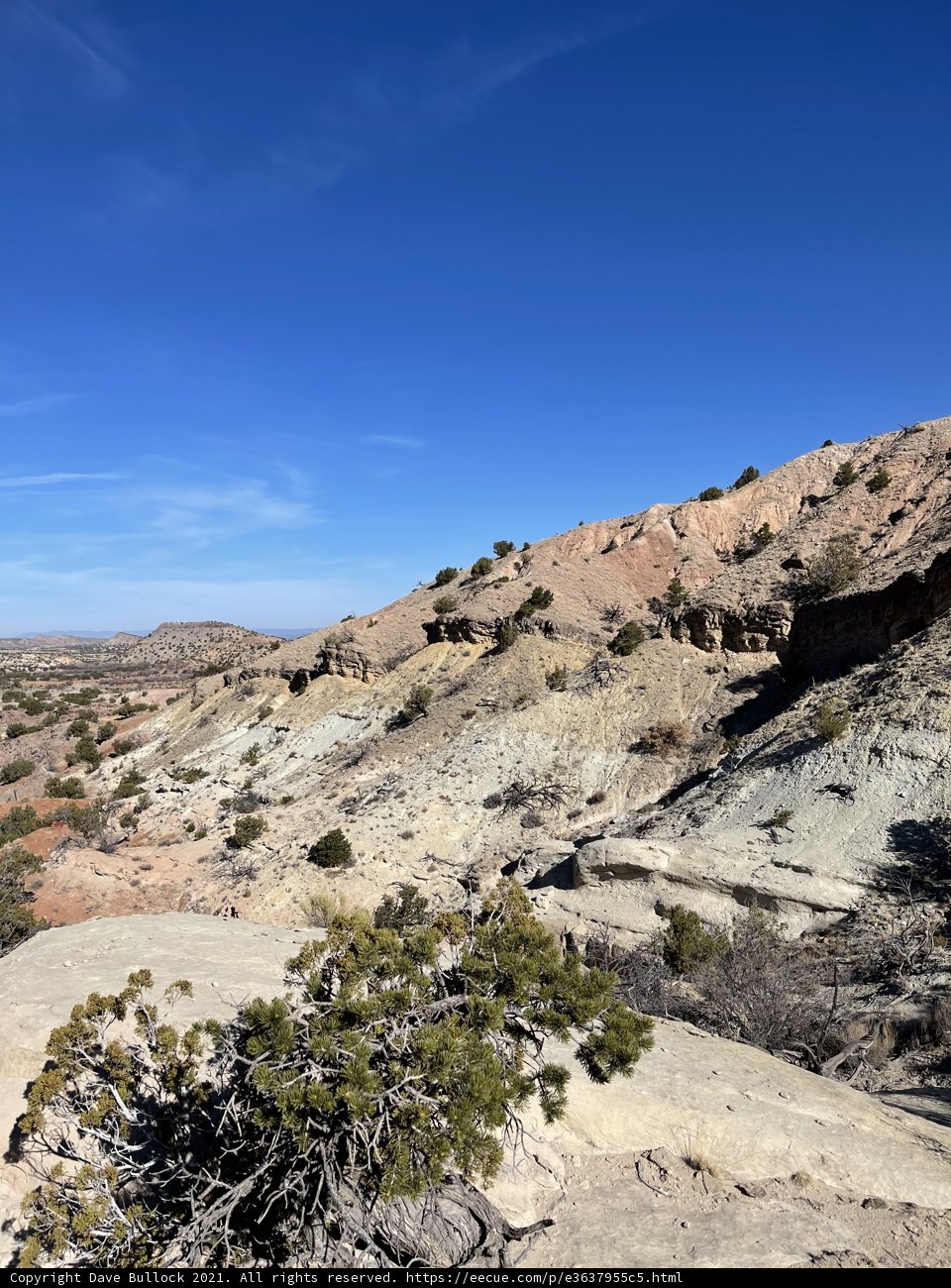Overlooking the Vast Desert Landscape