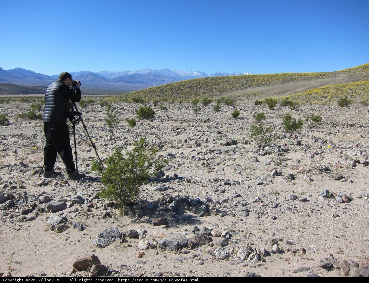 Capturing the Beauty of the Desert Landscape