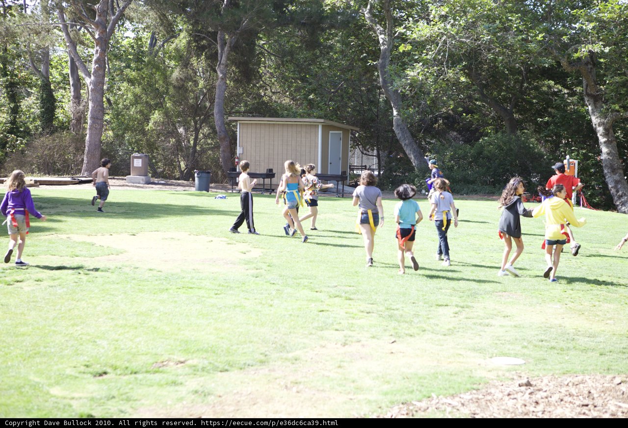 Frisbee Fun in the Park
