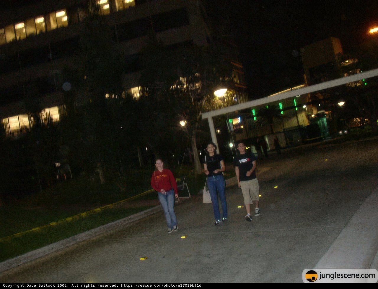 Night Walkers