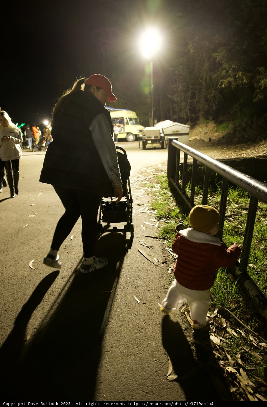 Spooky Sidewalk Stroll at Stern Grove