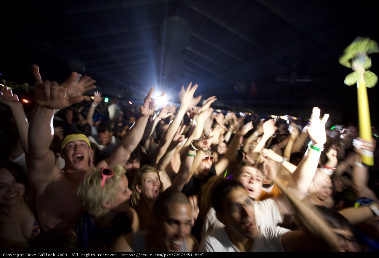 Coachella 2009: Hands Up in the Crowd