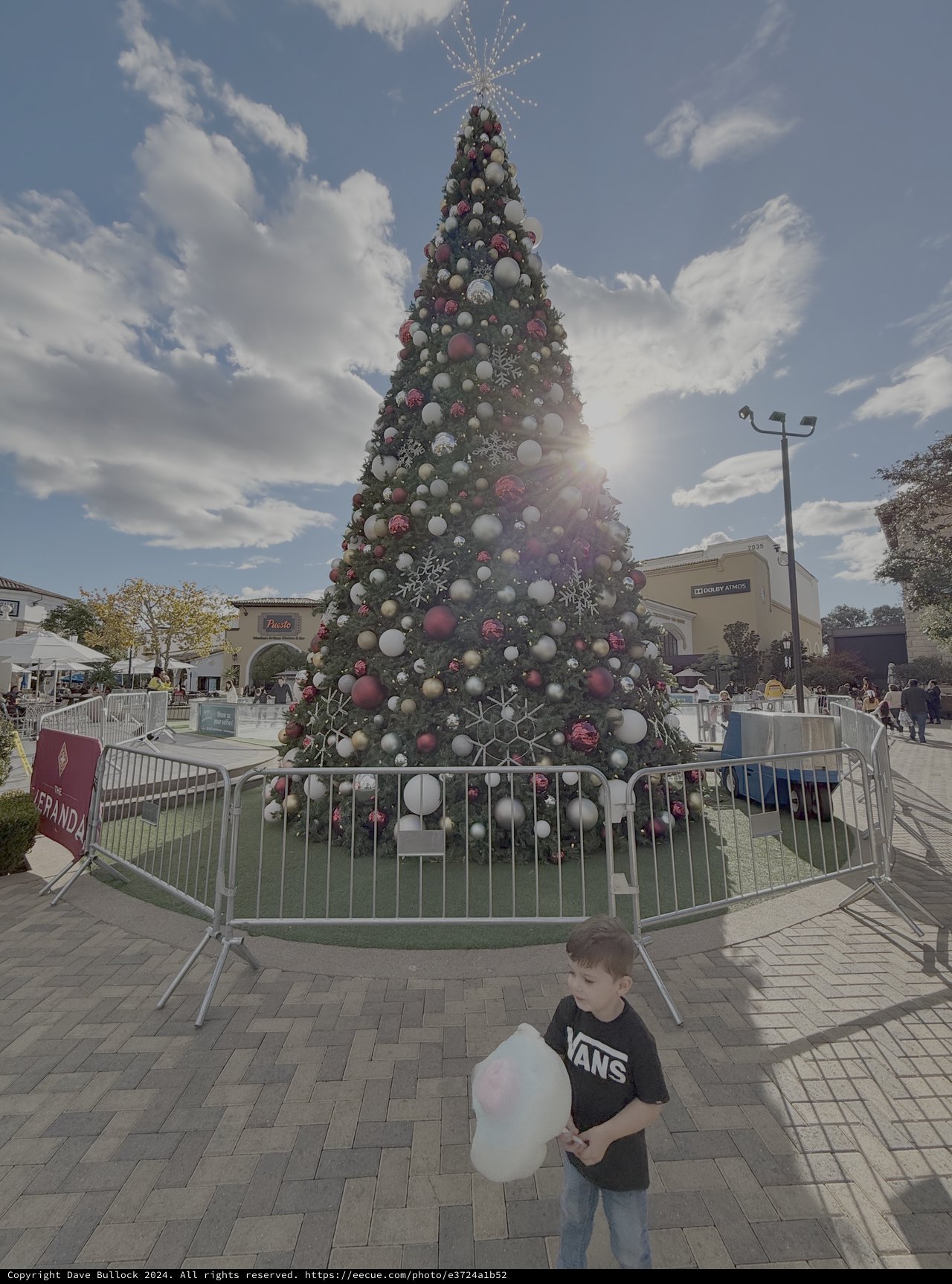 Child with Cotton Candy at Christmas Tree Display