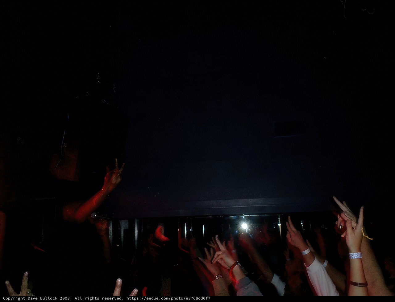 Dub Club Tippa Irie Concert Crowd