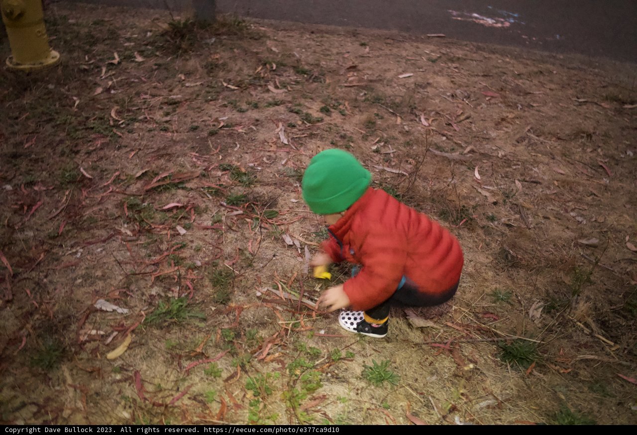 Childhood Fun at Presidio