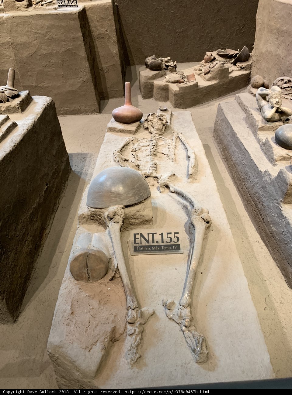 The Ancient Remains