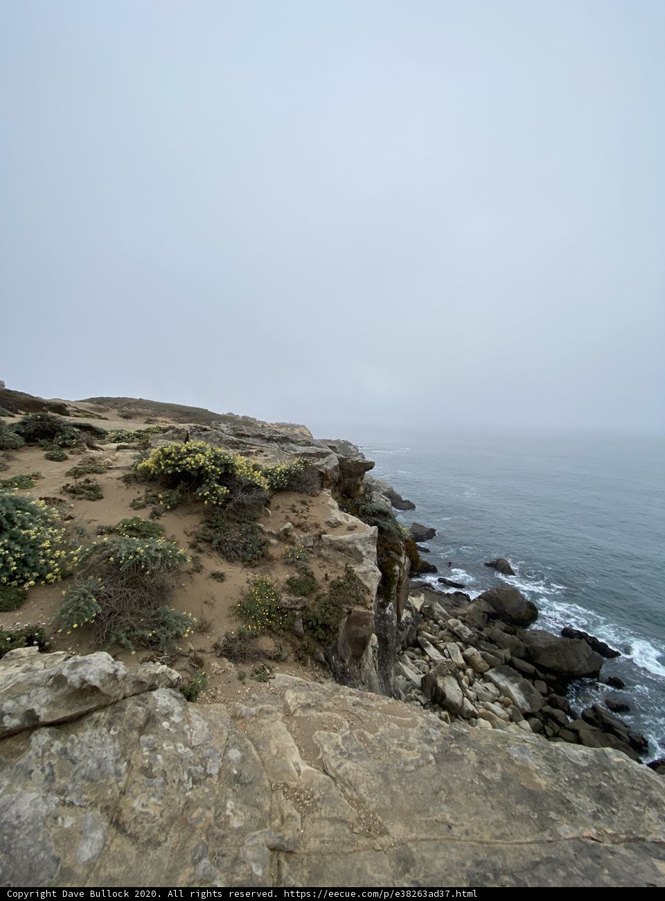 A Stunning View of the Pacific Coast