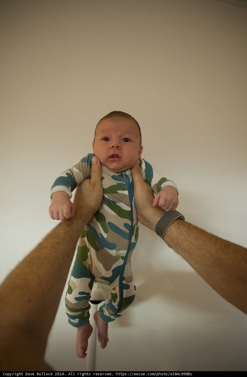 A Bundle of Joy: September '24