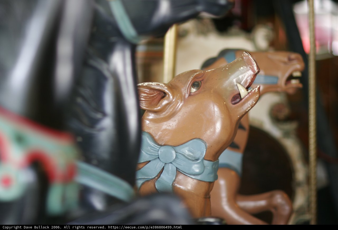 Elegant Carousel Horse