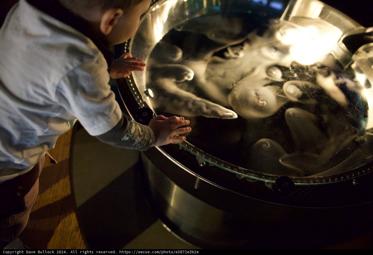Discovery at the Exploratorium