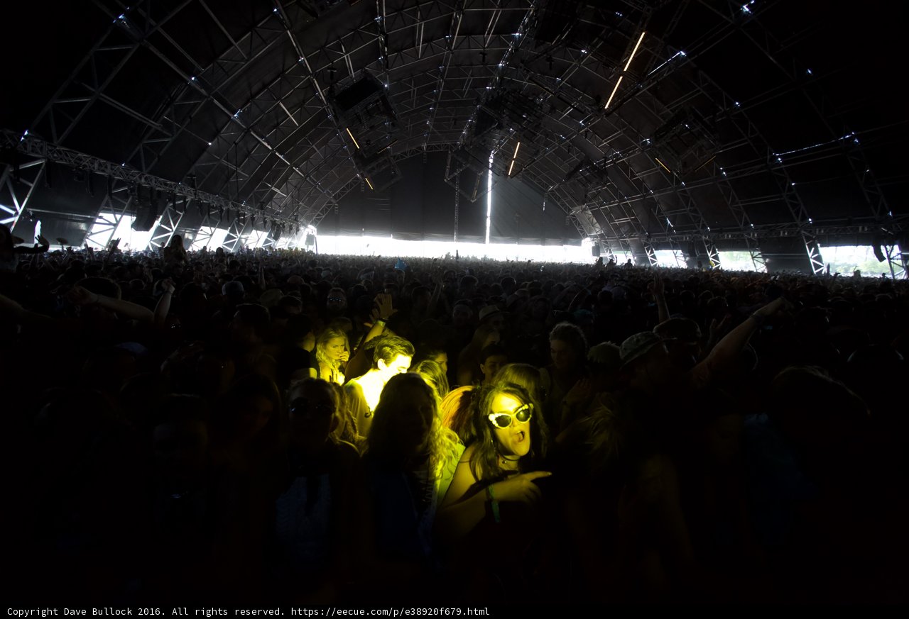 Lights and a Massive Crowd