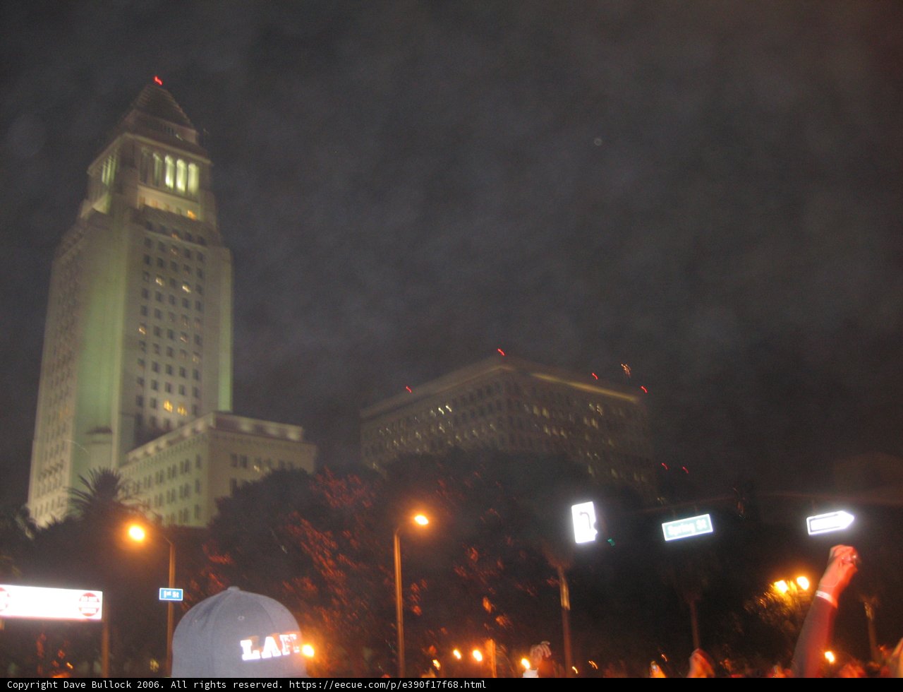 Umbrella at Night in the Metropolis
