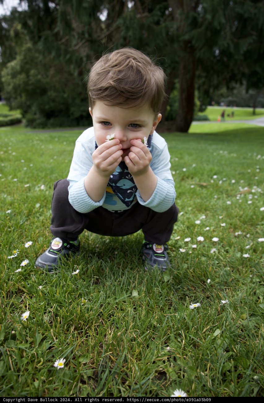 Youthful Tranquility in Golden Gate Park