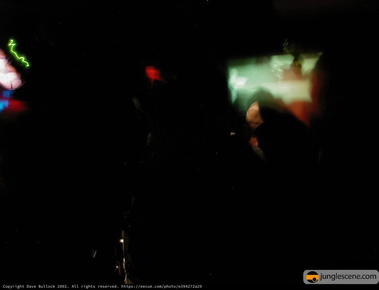 Darkness of the Nightclub Experience