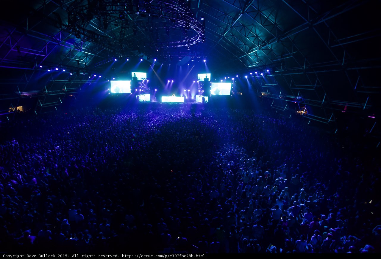 Rocking with the Crowd