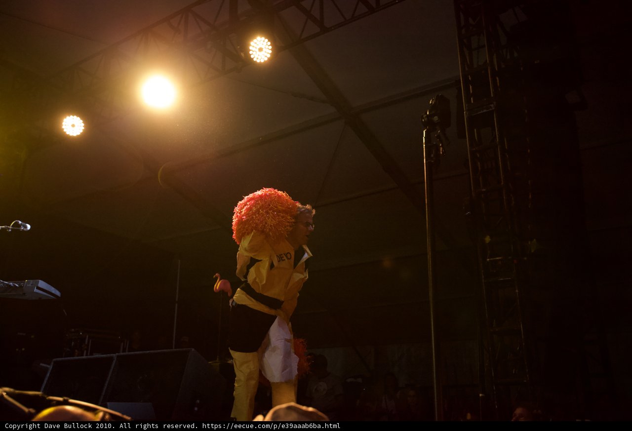 Spotlight on the Mascot