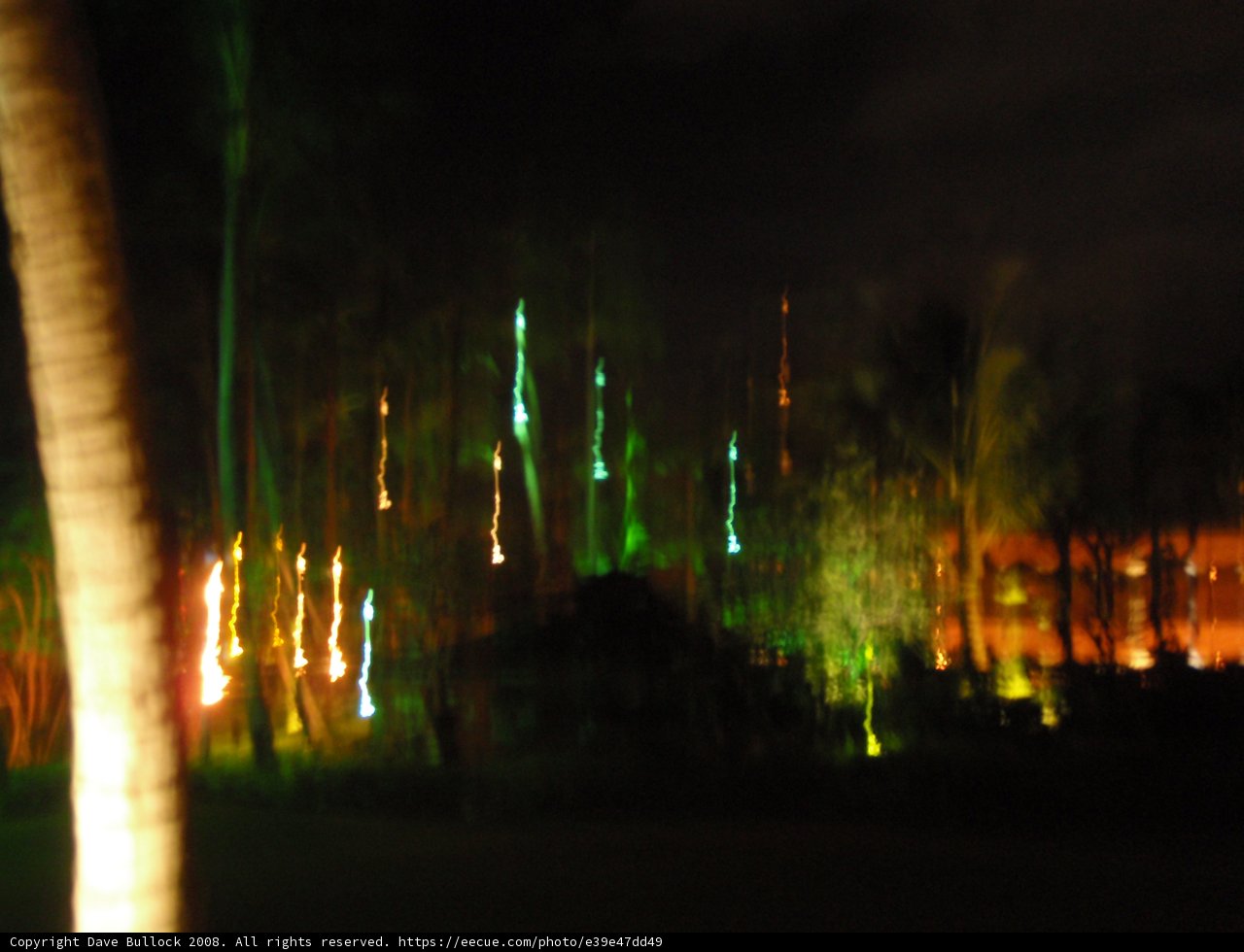 Vegas Lights