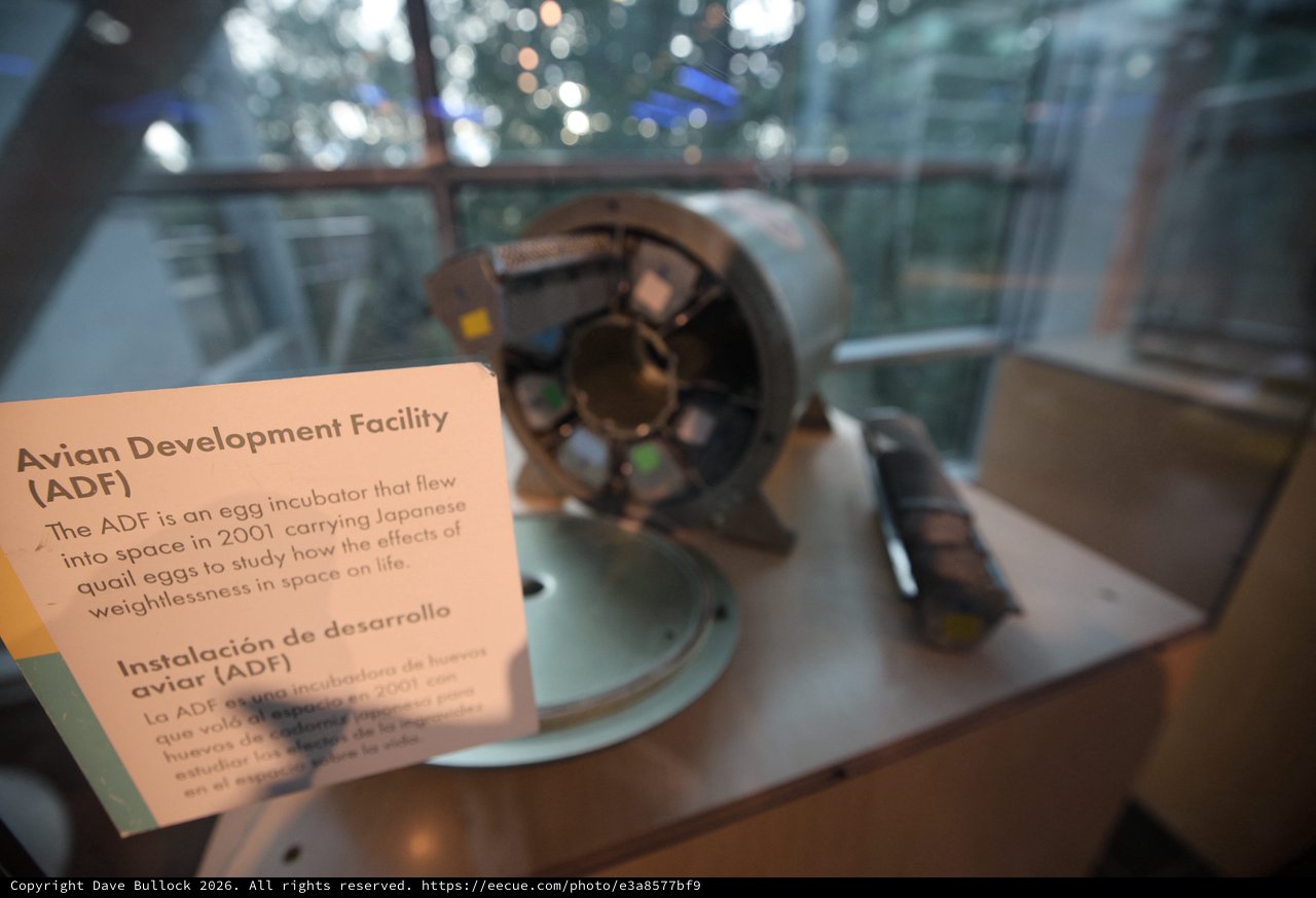 Avian Development Facility Space Egg Incubator Exhibit