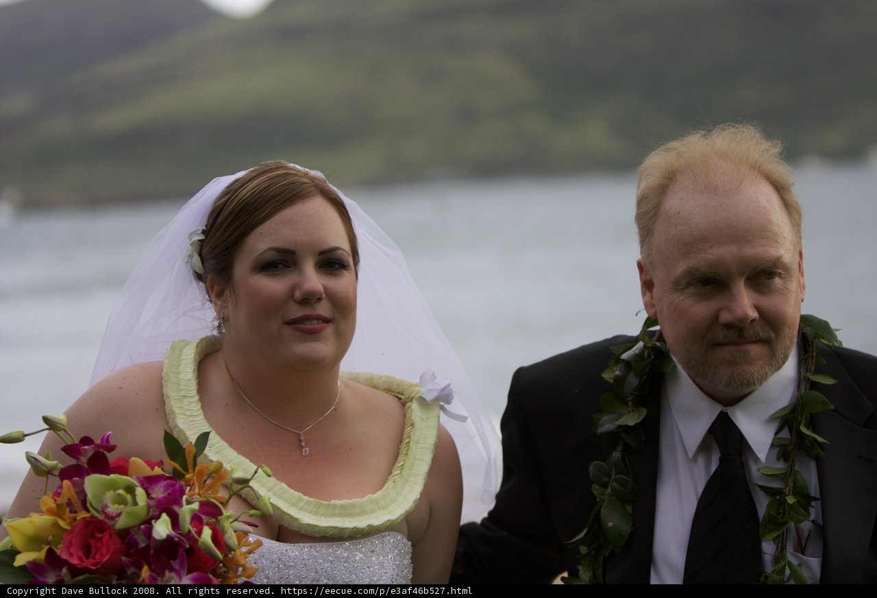 Hawaiian Wedding Bliss