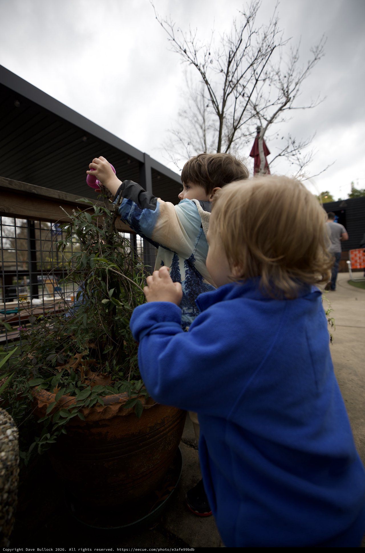 Children Decorating Community Garden Together Outdoors