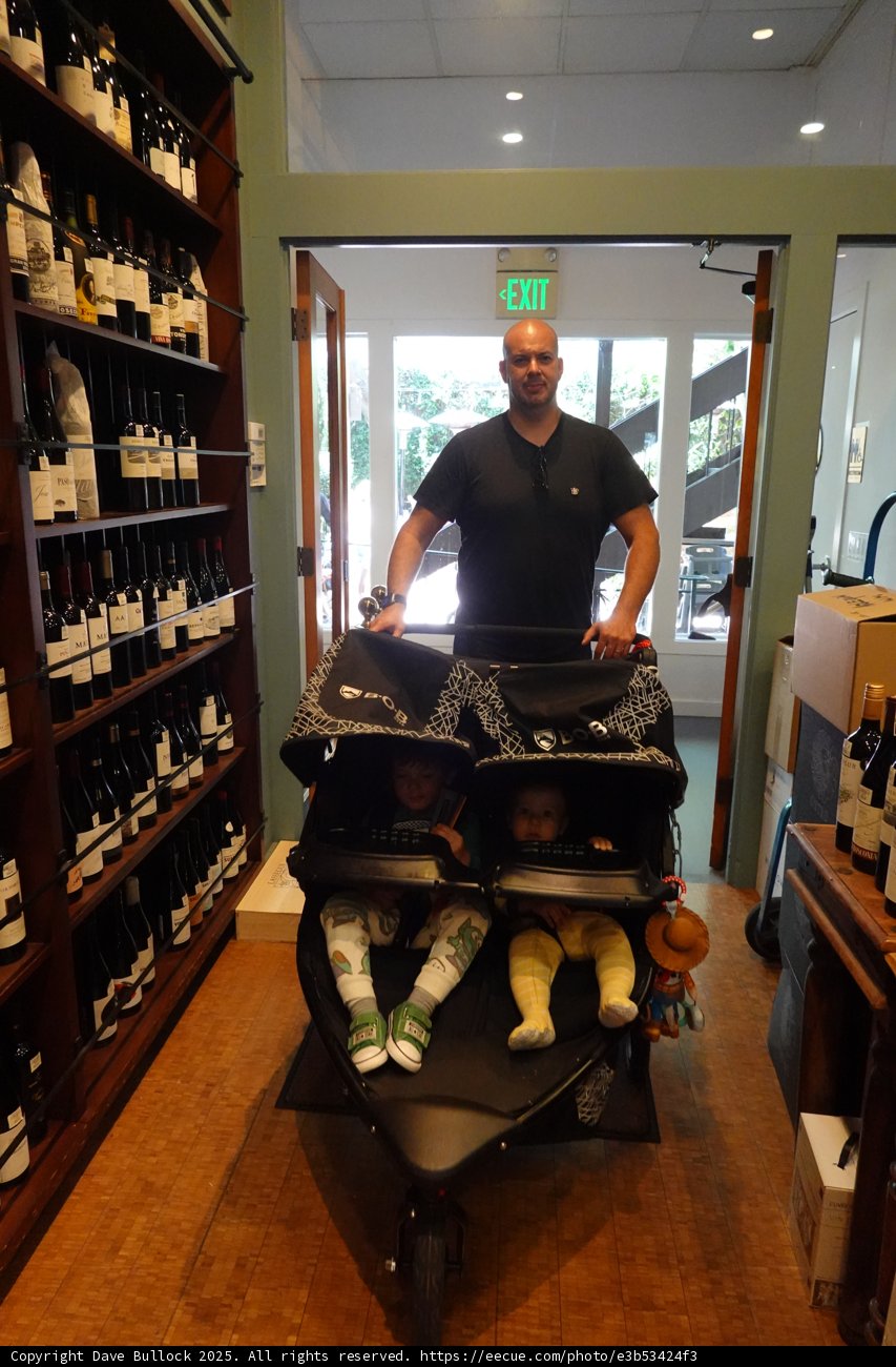Stroll Through the Cellar