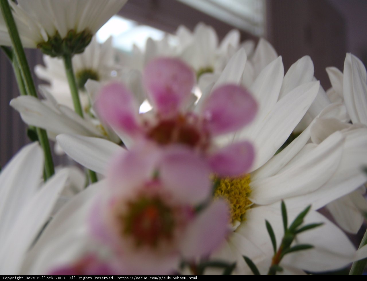 White Flower Bouquet