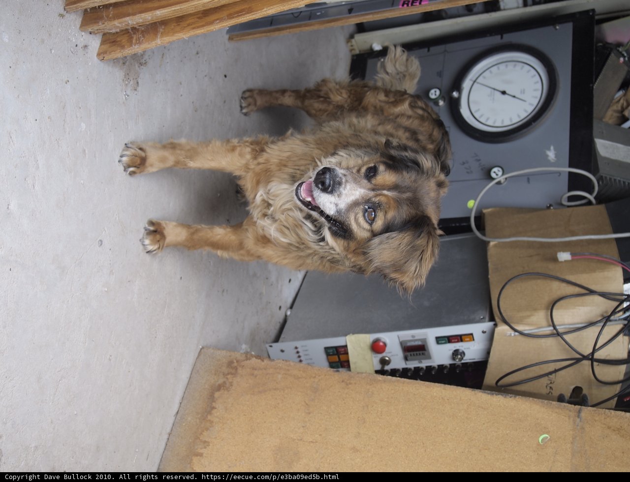 Timekeeping Companion