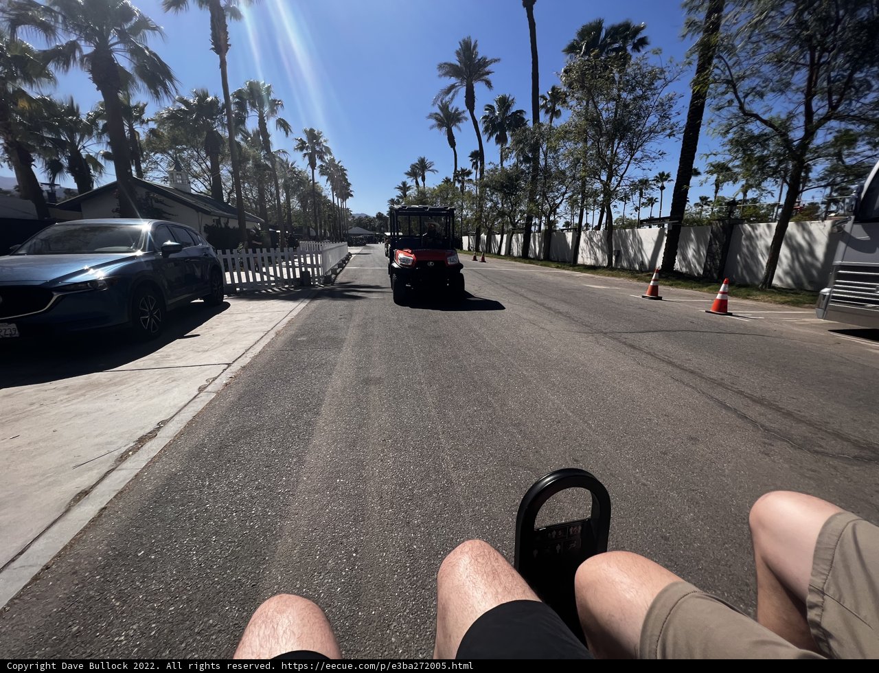 Riding along the Palm Trees