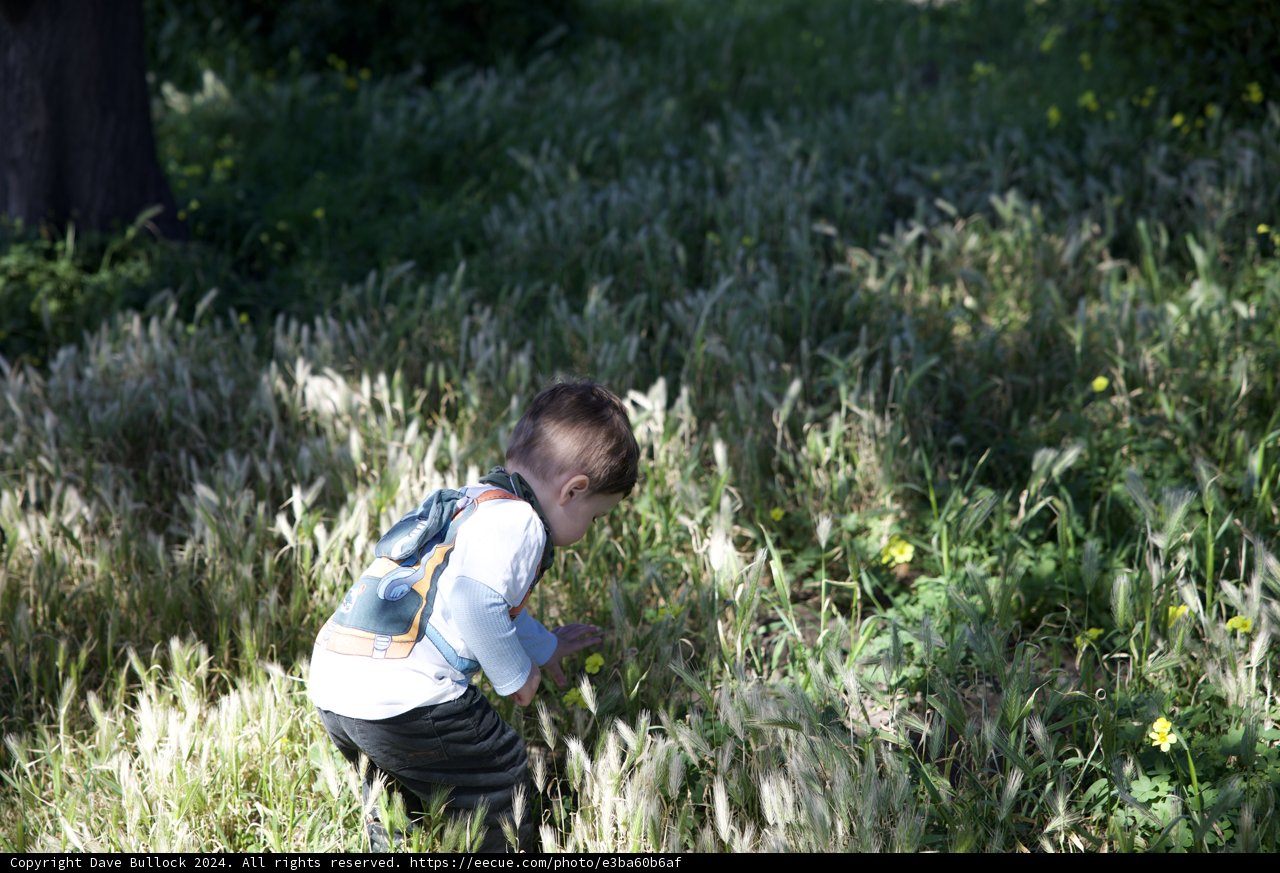 Embracing Wilderness: A Child's Adventure