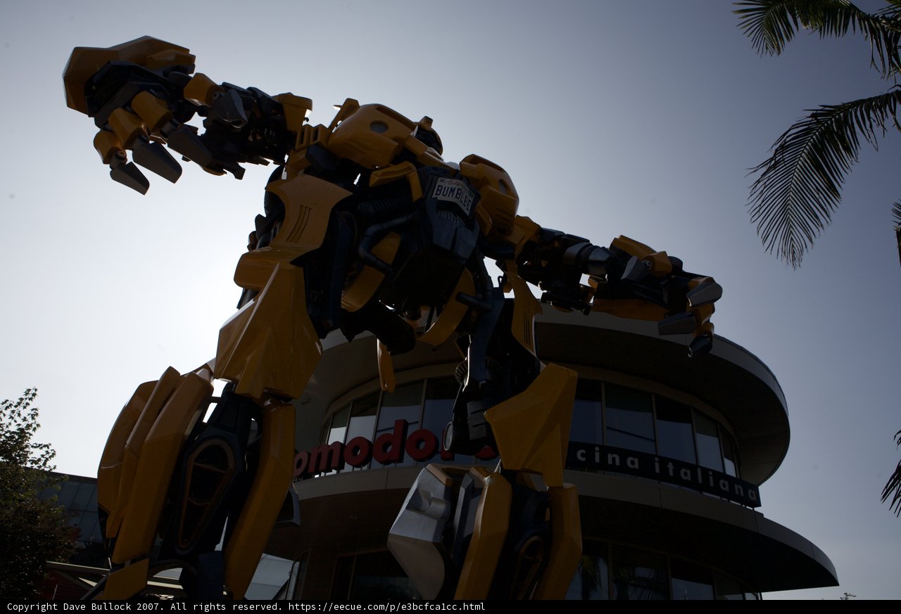 Robotic Guardian