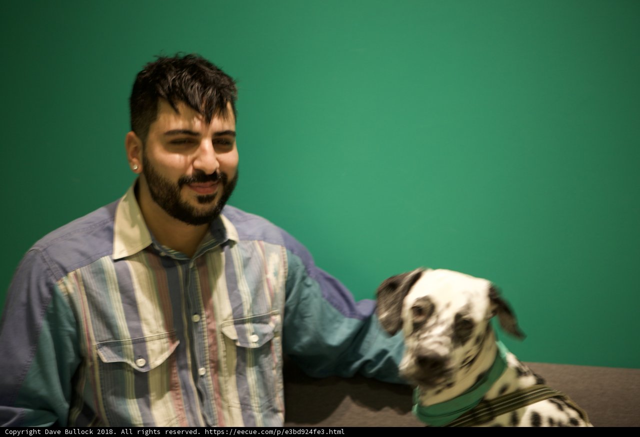 Man's Best Friend