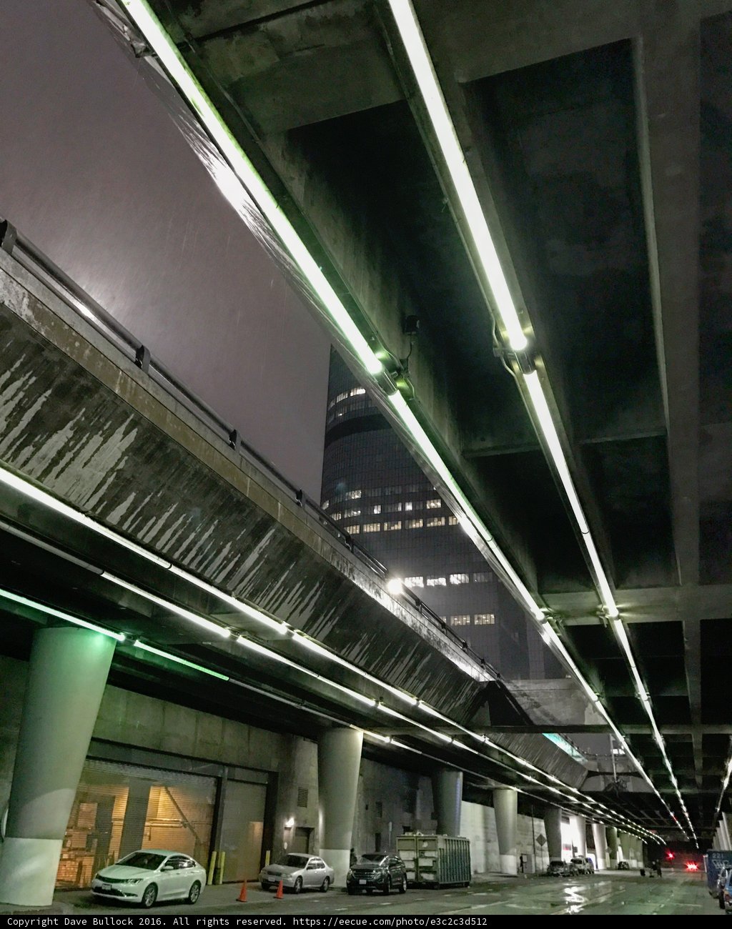 Urban Jungle