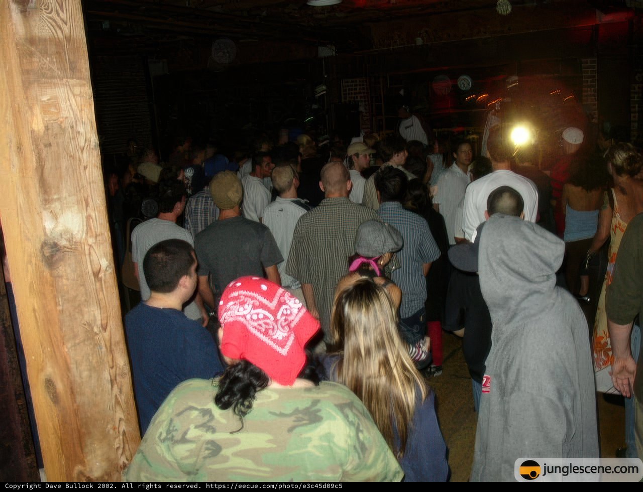 Nightlife Gathering