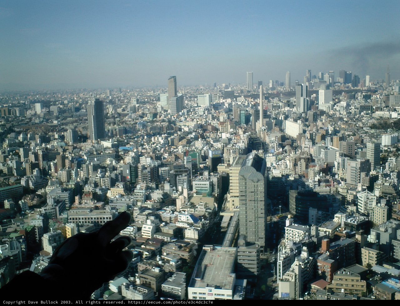 The Urban Jungle from Above