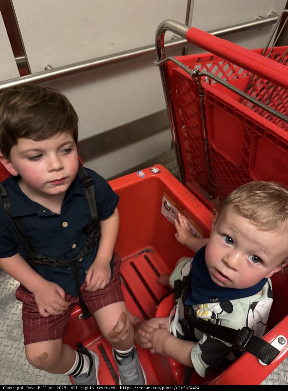 Shopping Cart Adventure