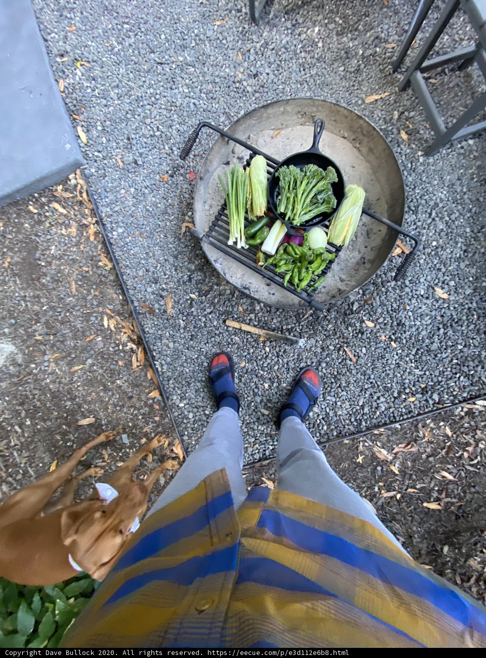 Grilling Fresh Produce on the Patio