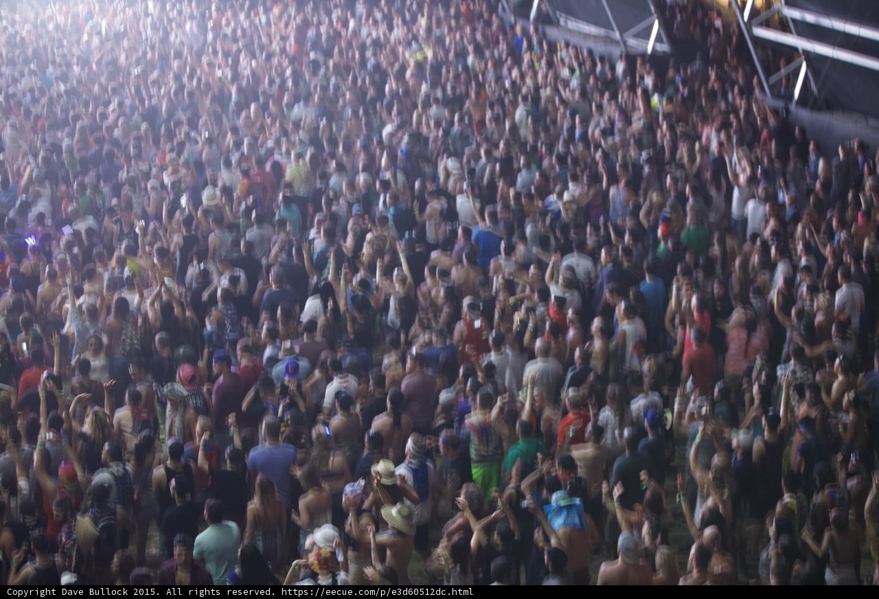 Coachella Crowd Goes Wild