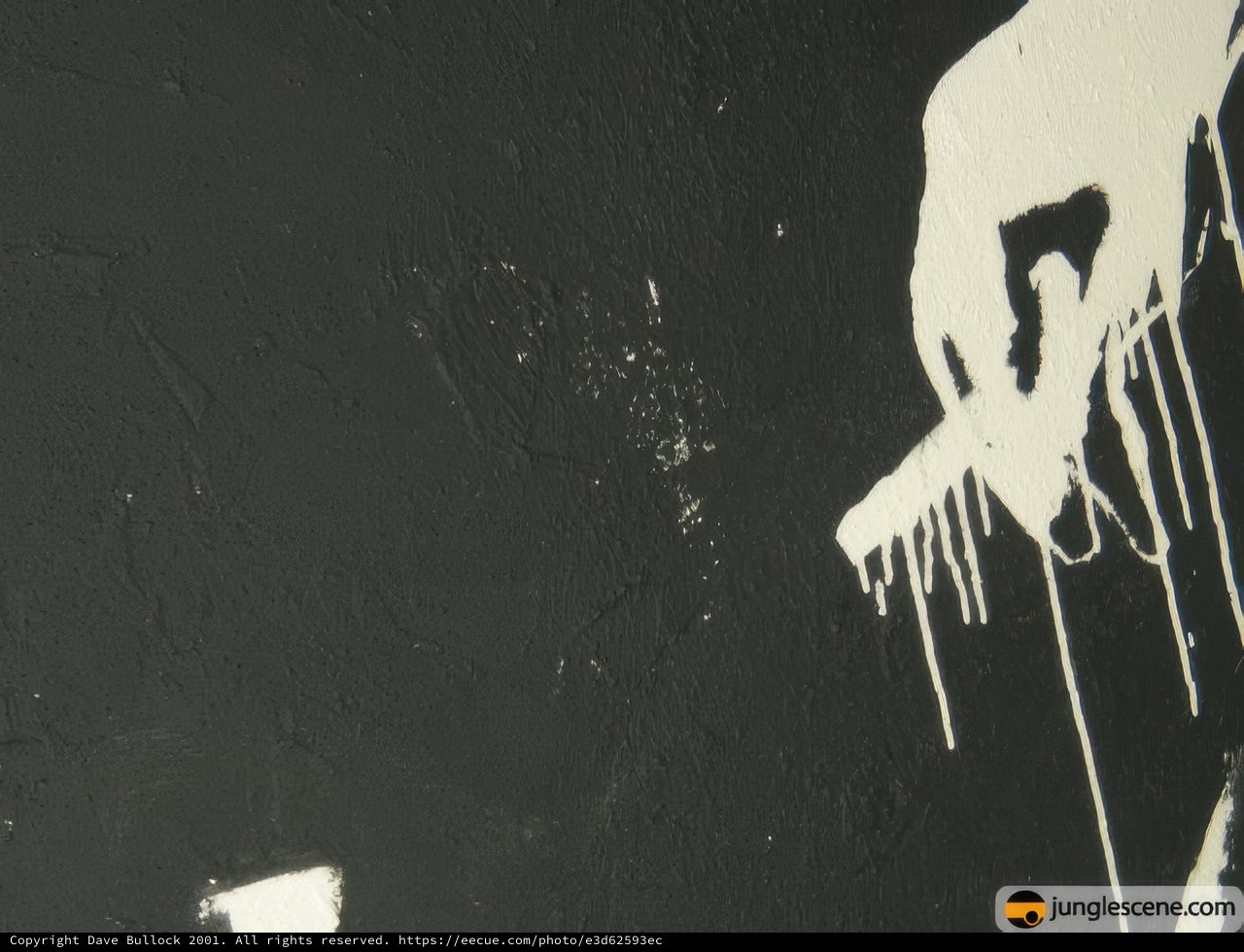 Brushing the Snow