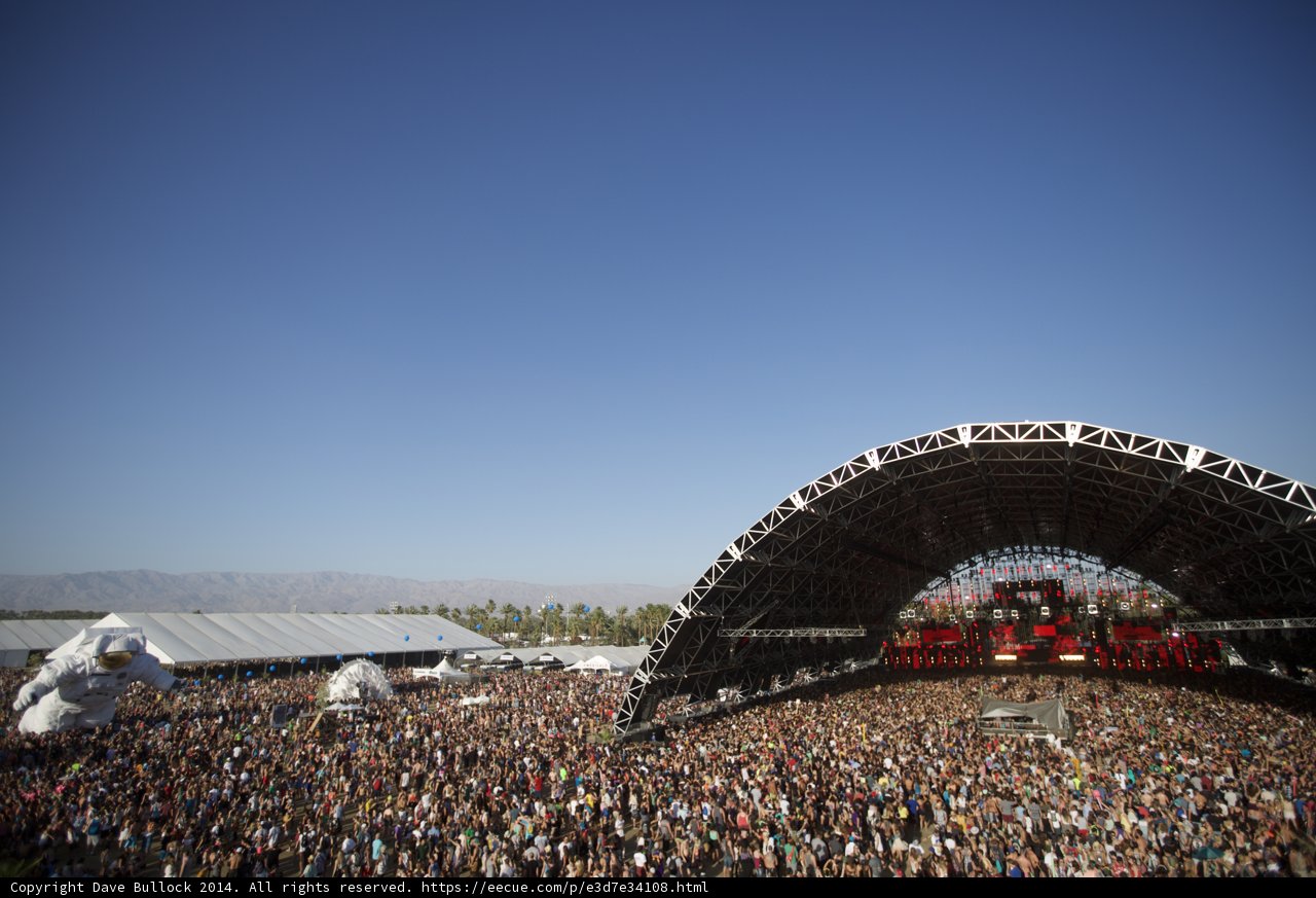 Music Festival Madness