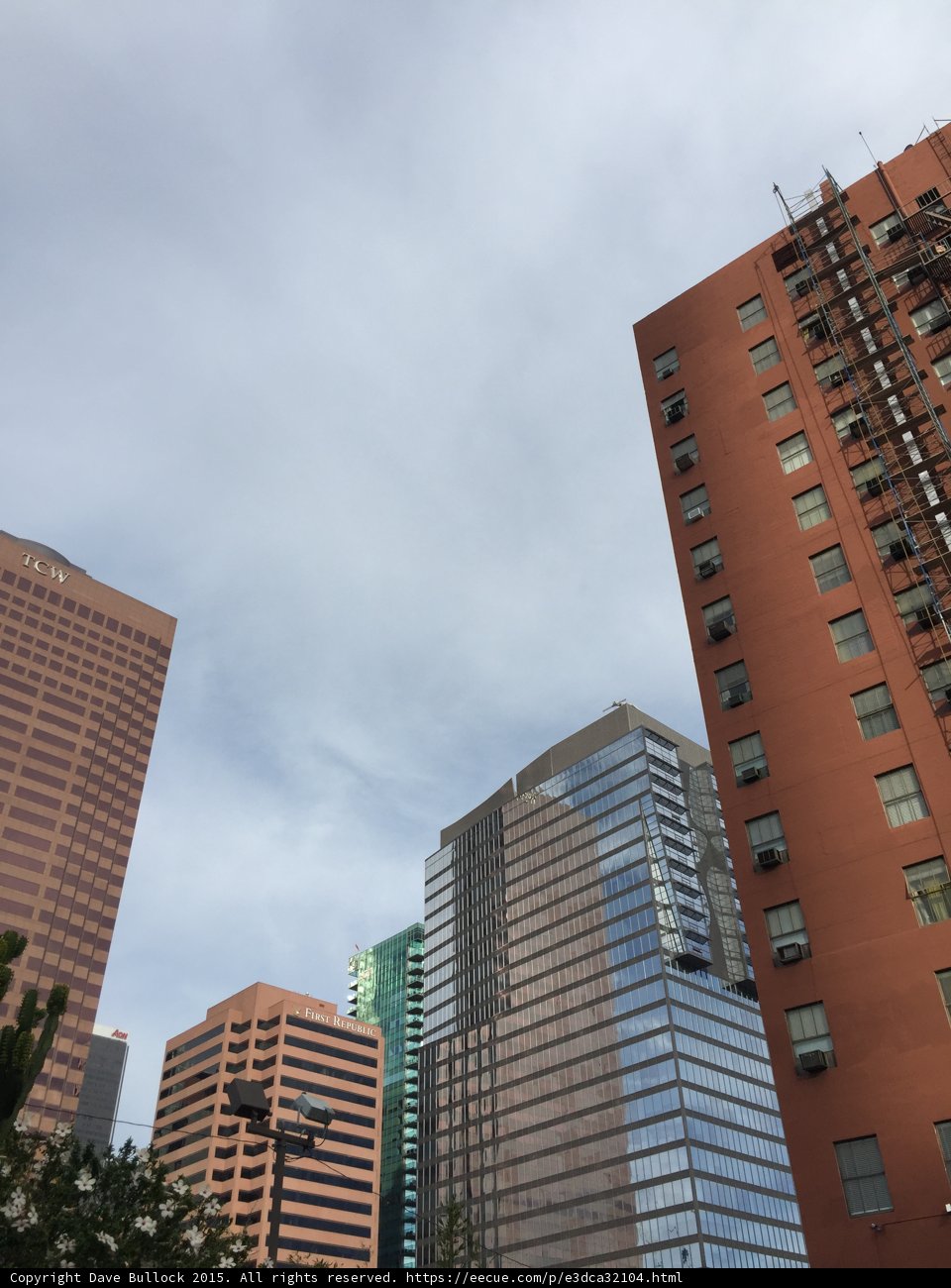 Towering Over the City
